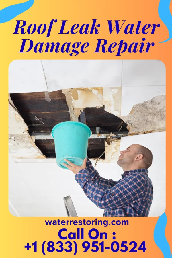 Roof Leak Water Damage Repair in La Vernia, TX