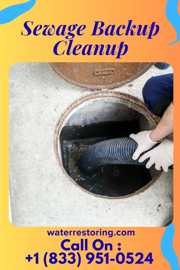 Sewage Backup Cleanup in La Vernia, TX