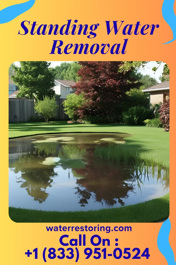 Standing Water Removal in La Vernia, TX